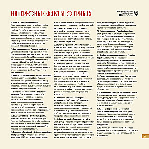 Stalo žaidimas - Micelijus